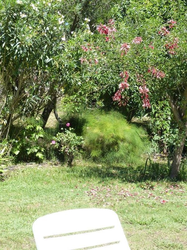 Parque de La Posada de Colón